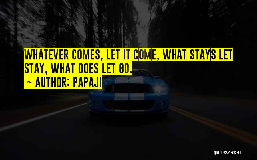 Papaji Quotes: Whatever Comes, Let It Come, What Stays Let Stay, What Goes Let Go.