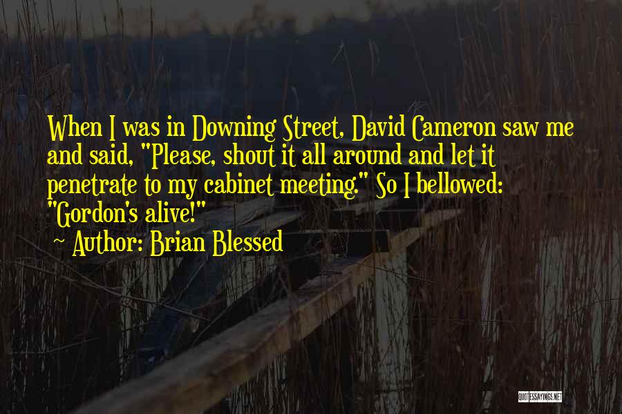 Brian Blessed Quotes: When I Was In Downing Street, David Cameron Saw Me And Said, Please, Shout It All Around And Let It