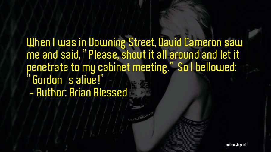 Brian Blessed Quotes: When I Was In Downing Street, David Cameron Saw Me And Said, Please, Shout It All Around And Let It