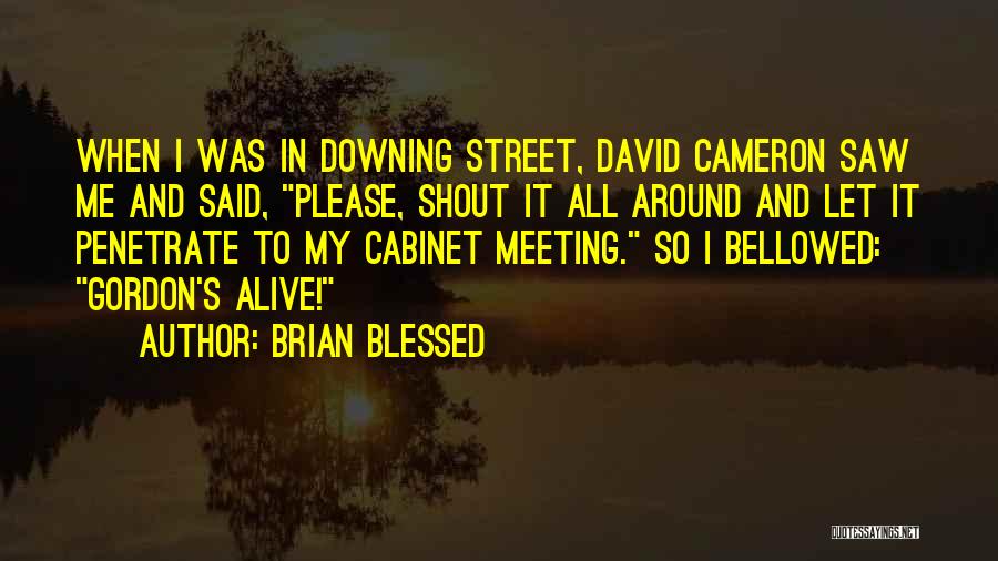 Brian Blessed Quotes: When I Was In Downing Street, David Cameron Saw Me And Said, Please, Shout It All Around And Let It