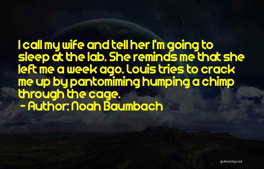 Noah Baumbach Quotes: I Call My Wife And Tell Her I'm Going To Sleep At The Lab. She Reminds Me That She Left