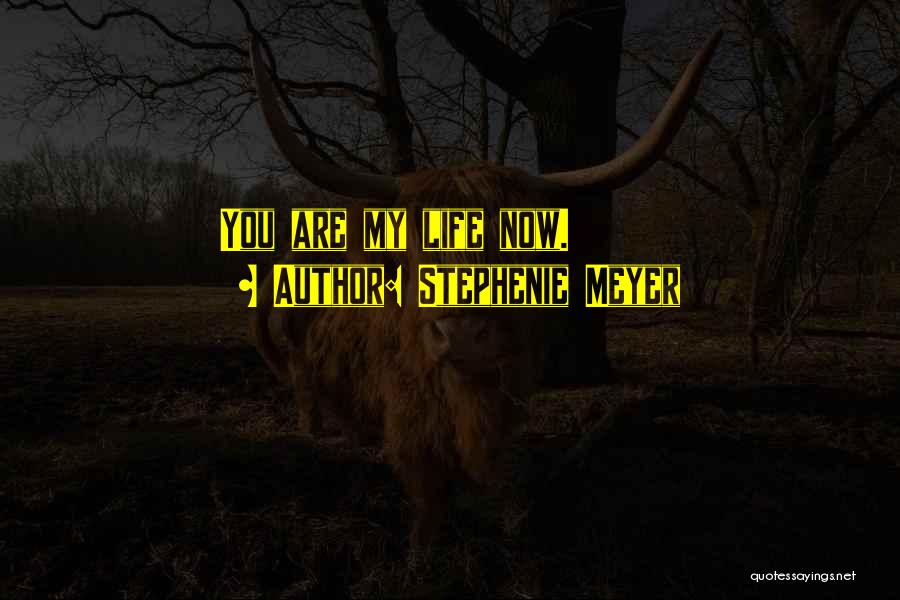 Stephenie Meyer Quotes: You Are My Life Now.