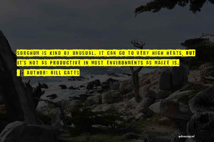 Bill Gates Quotes: Sorghum Is Kind Of Unusual. It Can Go To Very High Heats, But It's Not As Productive In Most Environments