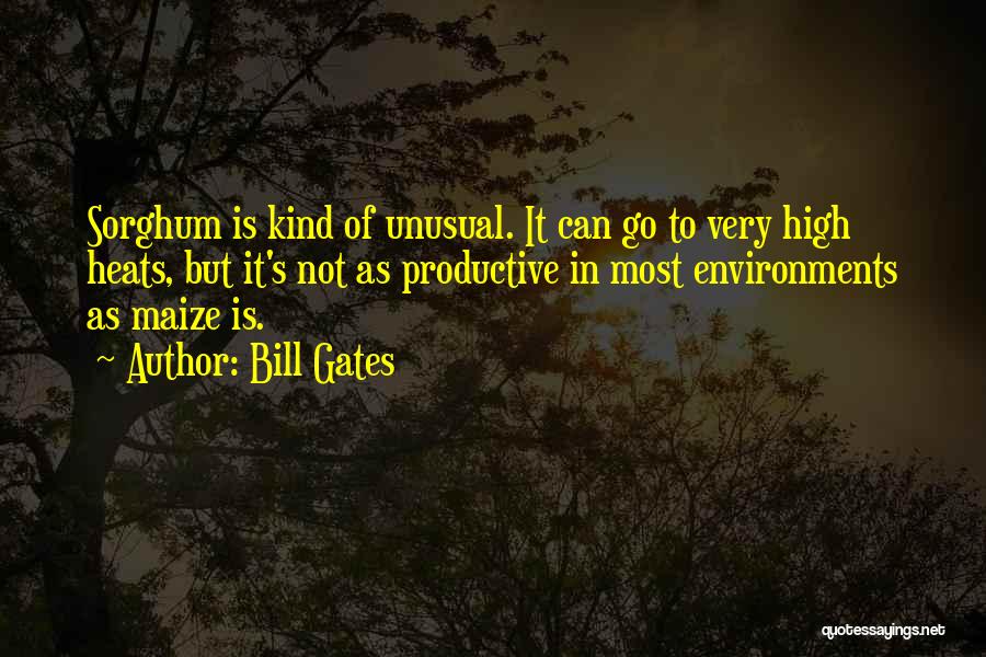 Bill Gates Quotes: Sorghum Is Kind Of Unusual. It Can Go To Very High Heats, But It's Not As Productive In Most Environments