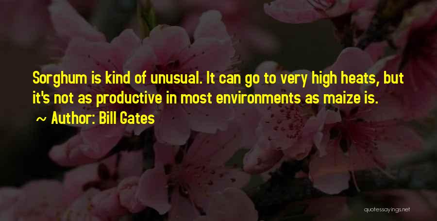 Bill Gates Quotes: Sorghum Is Kind Of Unusual. It Can Go To Very High Heats, But It's Not As Productive In Most Environments