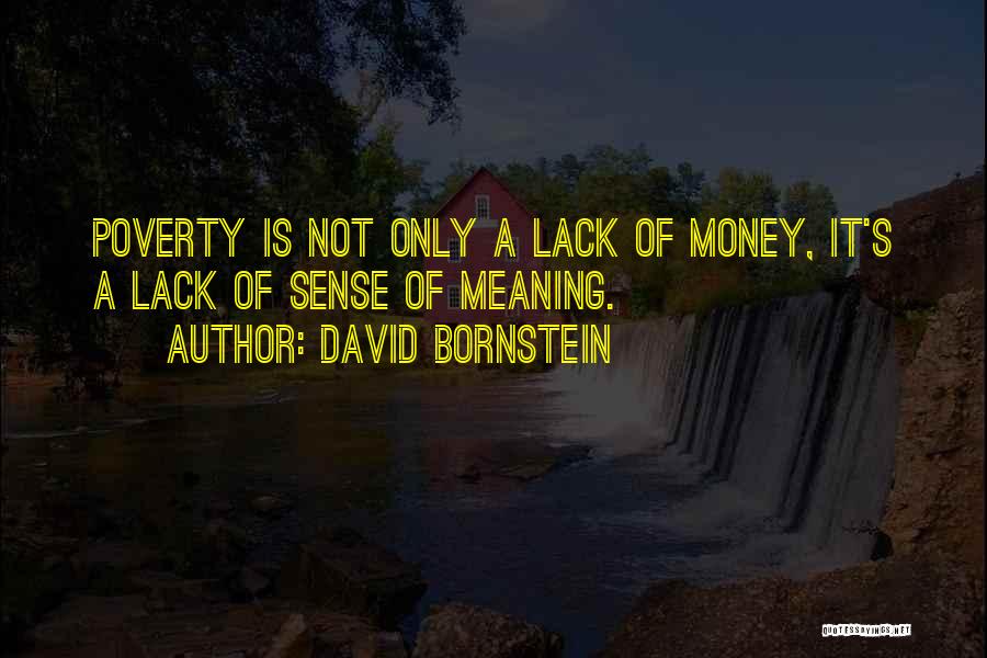 David Bornstein Quotes: Poverty Is Not Only A Lack Of Money, It's A Lack Of Sense Of Meaning.