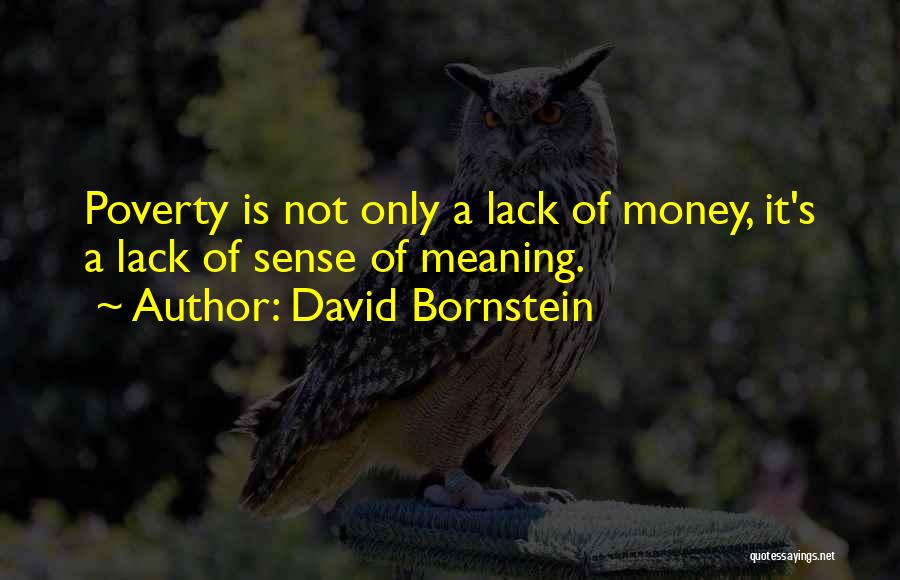 David Bornstein Quotes: Poverty Is Not Only A Lack Of Money, It's A Lack Of Sense Of Meaning.