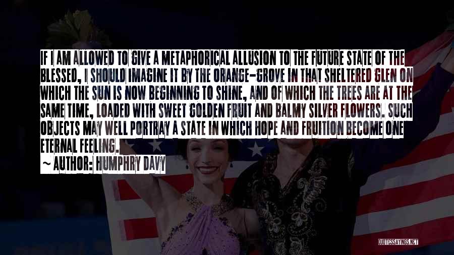 Humphry Davy Quotes: If I Am Allowed To Give A Metaphorical Allusion To The Future State Of The Blessed, I Should Imagine It