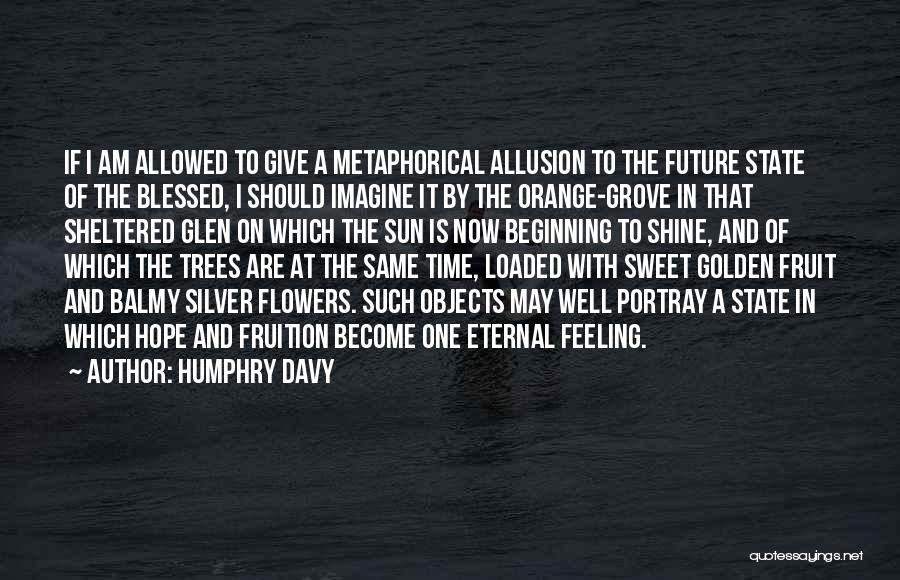 Humphry Davy Quotes: If I Am Allowed To Give A Metaphorical Allusion To The Future State Of The Blessed, I Should Imagine It