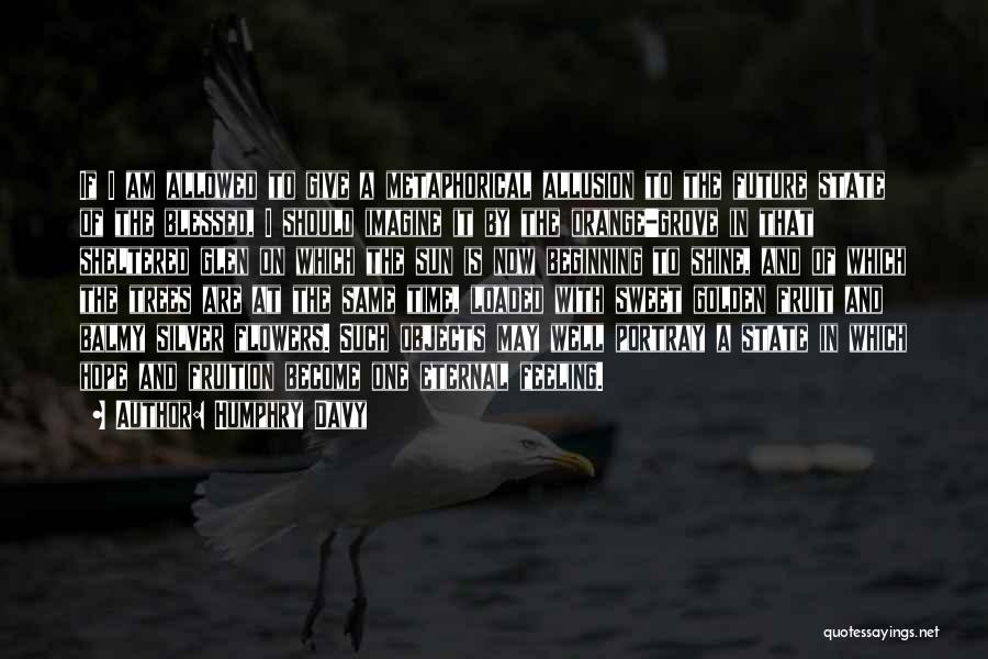 Humphry Davy Quotes: If I Am Allowed To Give A Metaphorical Allusion To The Future State Of The Blessed, I Should Imagine It