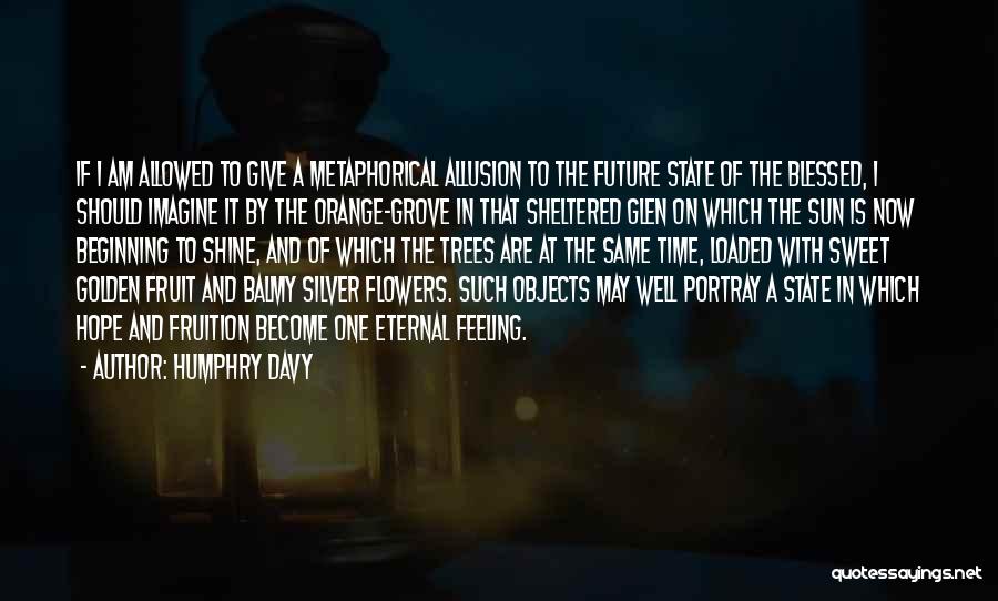 Humphry Davy Quotes: If I Am Allowed To Give A Metaphorical Allusion To The Future State Of The Blessed, I Should Imagine It