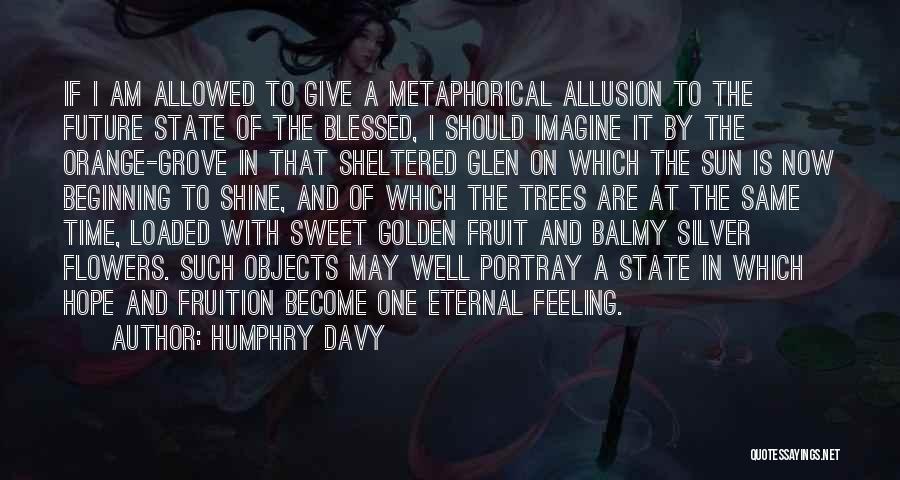 Humphry Davy Quotes: If I Am Allowed To Give A Metaphorical Allusion To The Future State Of The Blessed, I Should Imagine It