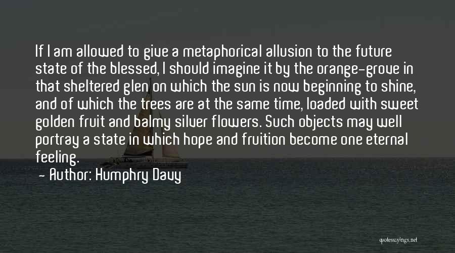 Humphry Davy Quotes: If I Am Allowed To Give A Metaphorical Allusion To The Future State Of The Blessed, I Should Imagine It