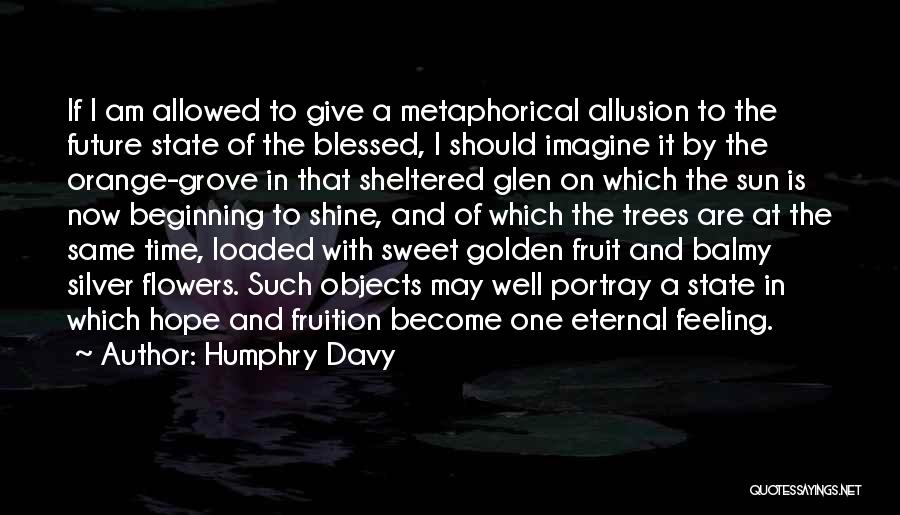 Humphry Davy Quotes: If I Am Allowed To Give A Metaphorical Allusion To The Future State Of The Blessed, I Should Imagine It