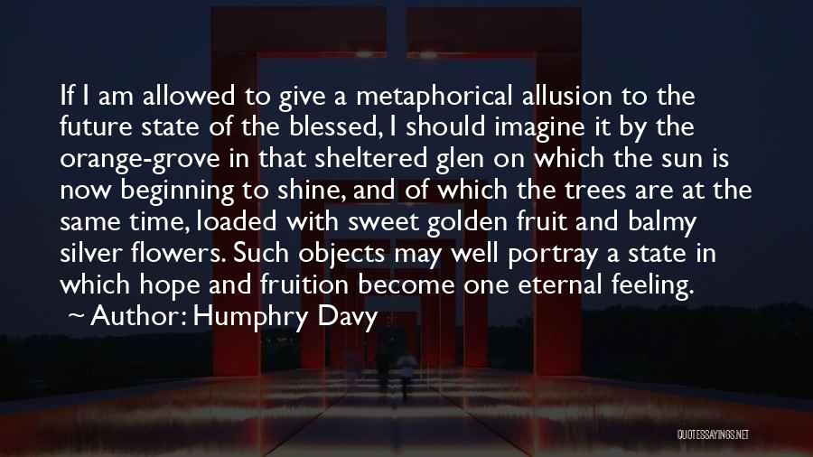 Humphry Davy Quotes: If I Am Allowed To Give A Metaphorical Allusion To The Future State Of The Blessed, I Should Imagine It