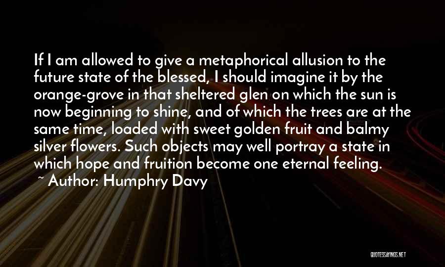 Humphry Davy Quotes: If I Am Allowed To Give A Metaphorical Allusion To The Future State Of The Blessed, I Should Imagine It