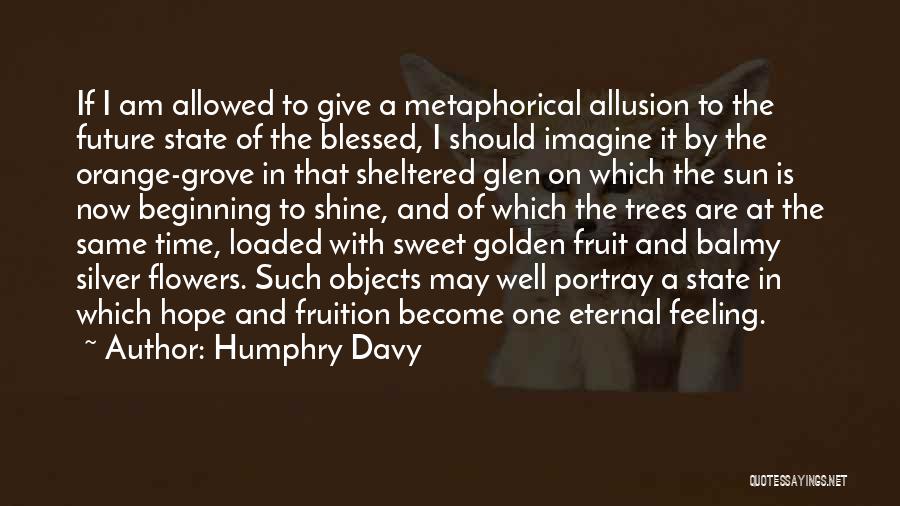 Humphry Davy Quotes: If I Am Allowed To Give A Metaphorical Allusion To The Future State Of The Blessed, I Should Imagine It