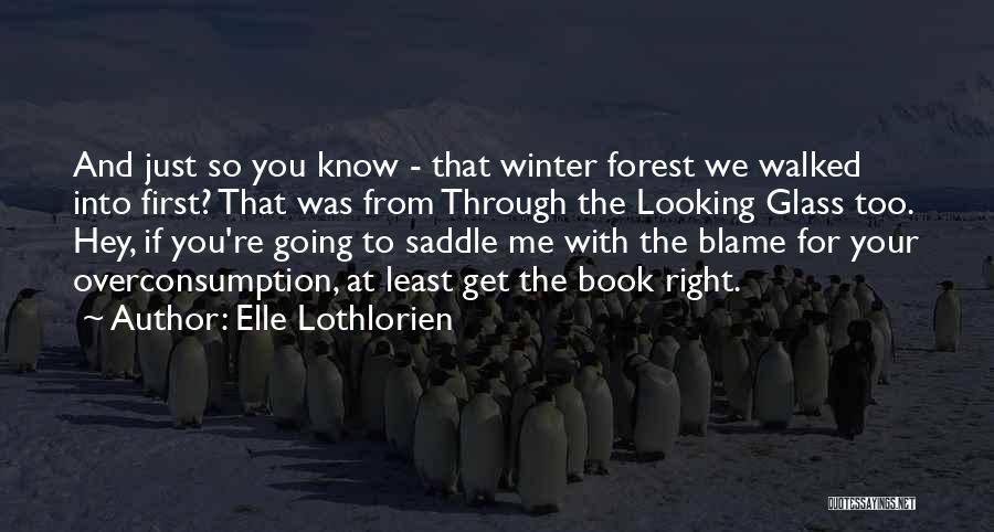 Elle Lothlorien Quotes: And Just So You Know - That Winter Forest We Walked Into First? That Was From Through The Looking Glass