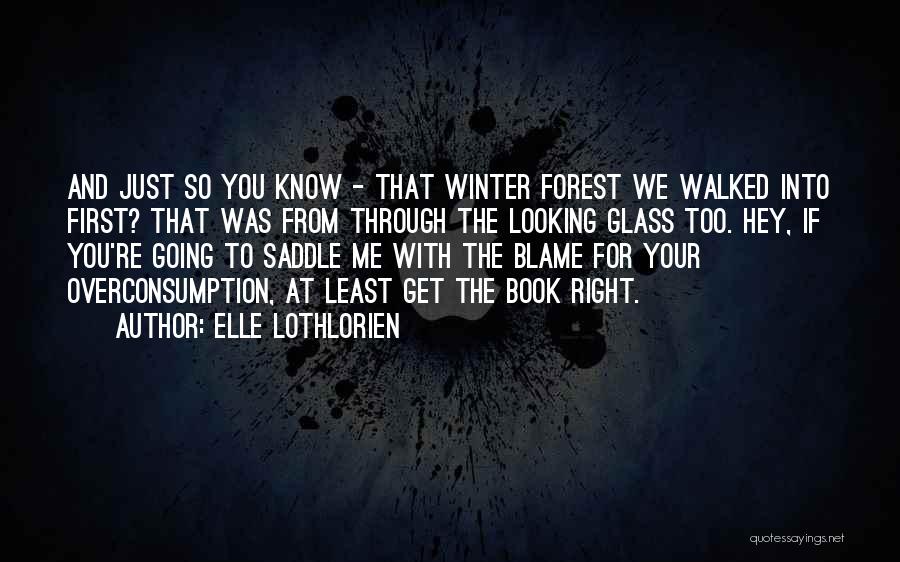 Elle Lothlorien Quotes: And Just So You Know - That Winter Forest We Walked Into First? That Was From Through The Looking Glass