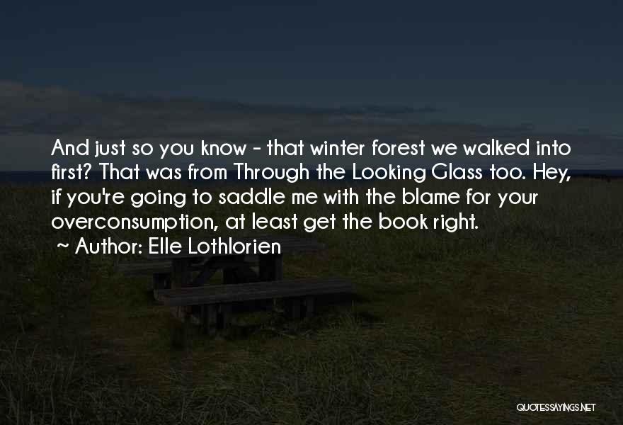 Elle Lothlorien Quotes: And Just So You Know - That Winter Forest We Walked Into First? That Was From Through The Looking Glass