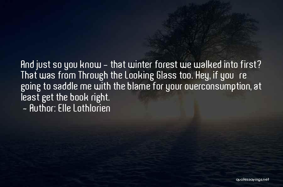 Elle Lothlorien Quotes: And Just So You Know - That Winter Forest We Walked Into First? That Was From Through The Looking Glass