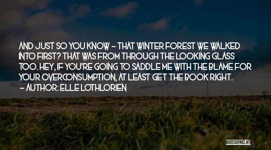 Elle Lothlorien Quotes: And Just So You Know - That Winter Forest We Walked Into First? That Was From Through The Looking Glass