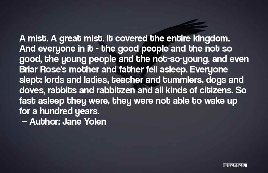 Jane Yolen Quotes: A Mist. A Great Mist. It Covered The Entire Kingdom. And Everyone In It - The Good People And The