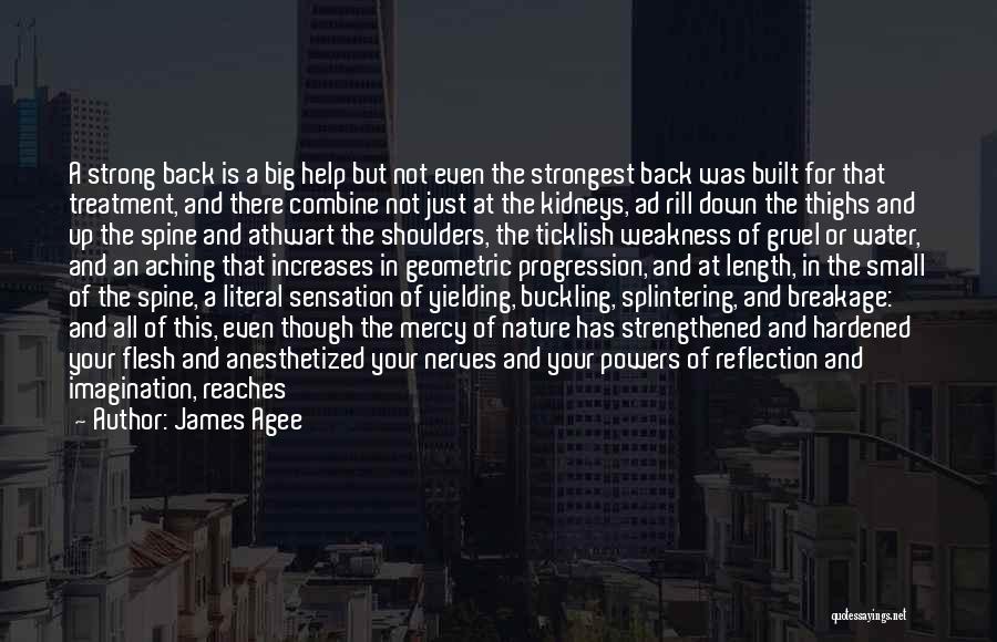 James Agee Quotes: A Strong Back Is A Big Help But Not Even The Strongest Back Was Built For That Treatment, And There