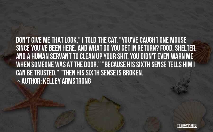 Kelley Armstrong Quotes: Don't Give Me That Look, I Told The Cat. You've Caught One Mouse Since You've Been Here. And What Do