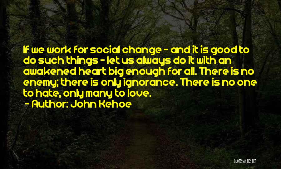 John Kehoe Quotes: If We Work For Social Change - And It Is Good To Do Such Things - Let Us Always Do