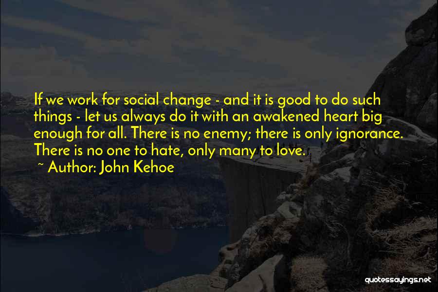 John Kehoe Quotes: If We Work For Social Change - And It Is Good To Do Such Things - Let Us Always Do