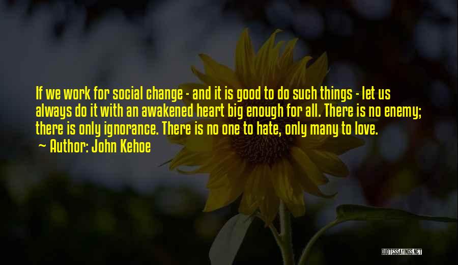 John Kehoe Quotes: If We Work For Social Change - And It Is Good To Do Such Things - Let Us Always Do