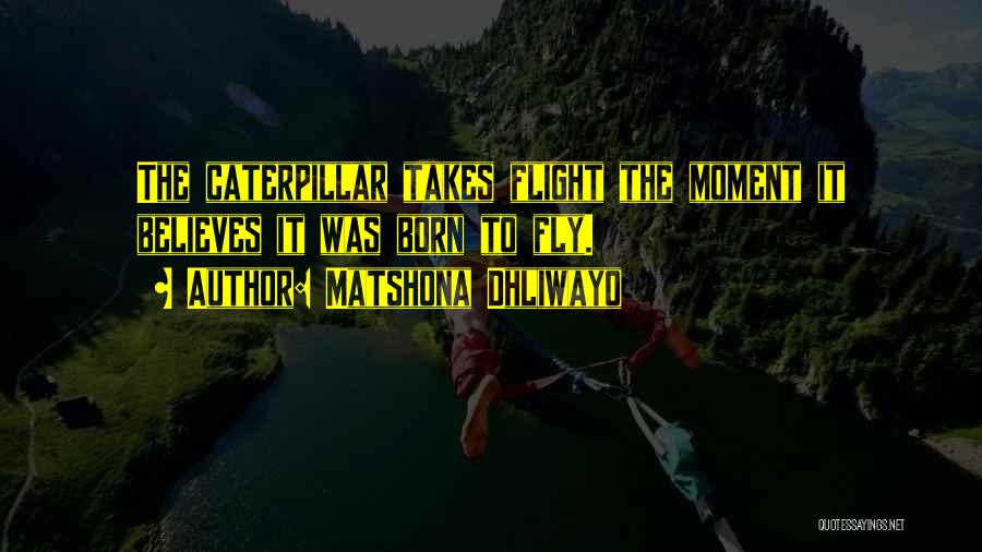 Matshona Dhliwayo Quotes: The Caterpillar Takes Flight The Moment It Believes It Was Born To Fly.