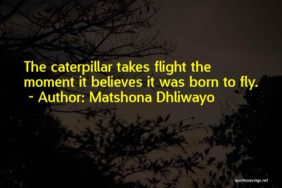 Matshona Dhliwayo Quotes: The Caterpillar Takes Flight The Moment It Believes It Was Born To Fly.