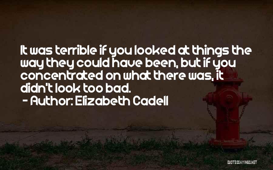 Elizabeth Cadell Quotes: It Was Terrible If You Looked At Things The Way They Could Have Been, But If You Concentrated On What