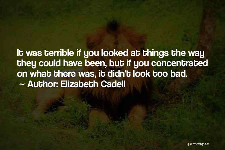 Elizabeth Cadell Quotes: It Was Terrible If You Looked At Things The Way They Could Have Been, But If You Concentrated On What