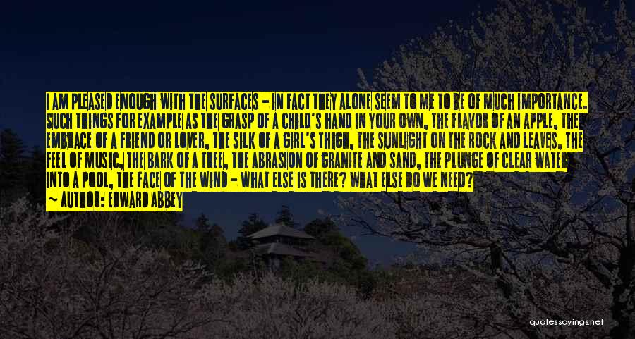 Edward Abbey Quotes: I Am Pleased Enough With The Surfaces - In Fact They Alone Seem To Me To Be Of Much Importance.