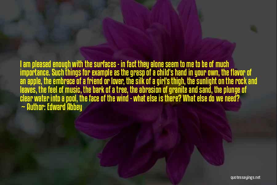 Edward Abbey Quotes: I Am Pleased Enough With The Surfaces - In Fact They Alone Seem To Me To Be Of Much Importance.