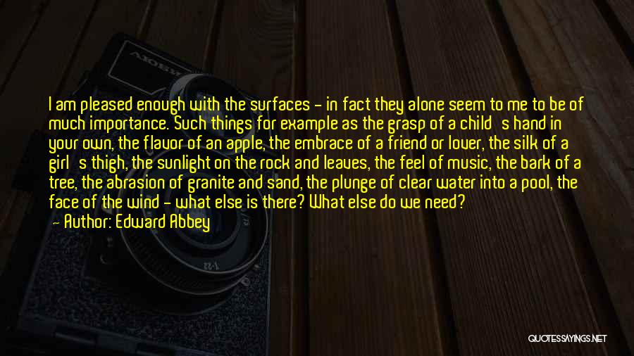Edward Abbey Quotes: I Am Pleased Enough With The Surfaces - In Fact They Alone Seem To Me To Be Of Much Importance.