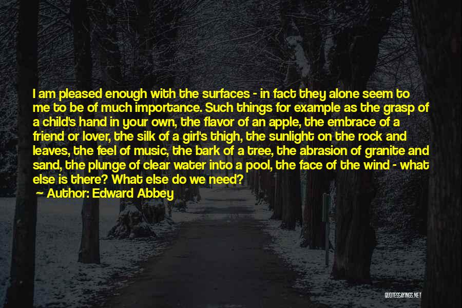 Edward Abbey Quotes: I Am Pleased Enough With The Surfaces - In Fact They Alone Seem To Me To Be Of Much Importance.