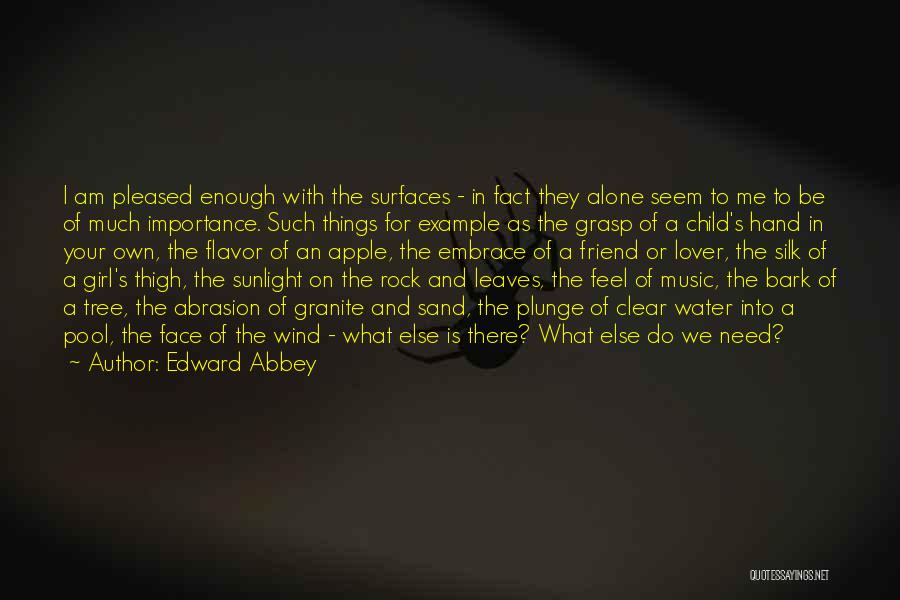 Edward Abbey Quotes: I Am Pleased Enough With The Surfaces - In Fact They Alone Seem To Me To Be Of Much Importance.