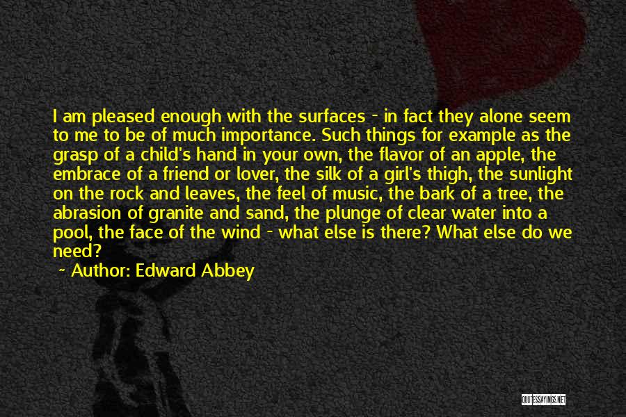 Edward Abbey Quotes: I Am Pleased Enough With The Surfaces - In Fact They Alone Seem To Me To Be Of Much Importance.