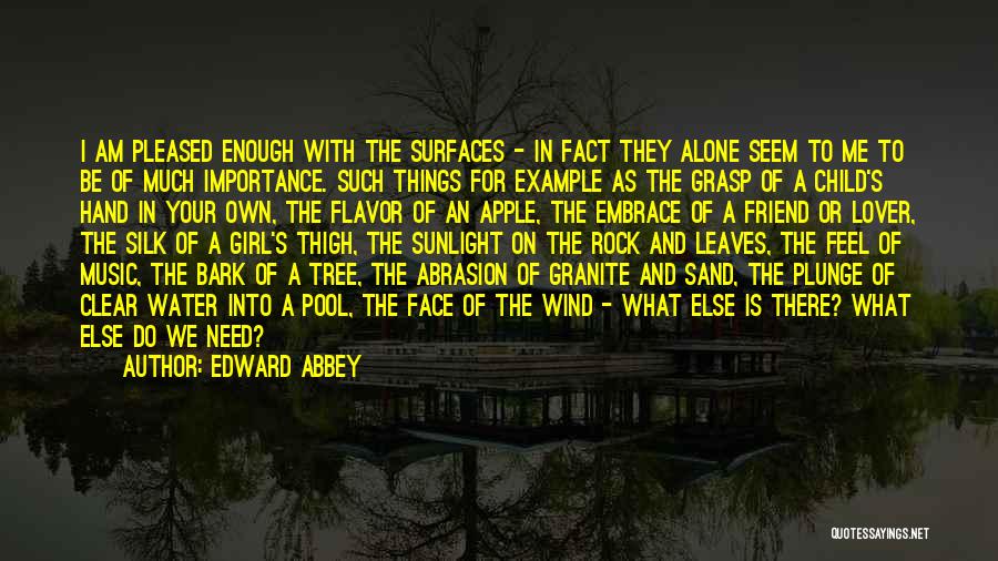 Edward Abbey Quotes: I Am Pleased Enough With The Surfaces - In Fact They Alone Seem To Me To Be Of Much Importance.
