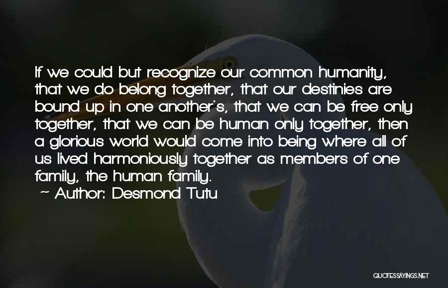 Desmond Tutu Quotes: If We Could But Recognize Our Common Humanity, That We Do Belong Together, That Our Destinies Are Bound Up In