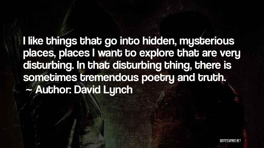 David Lynch Quotes: I Like Things That Go Into Hidden, Mysterious Places, Places I Want To Explore That Are Very Disturbing. In That