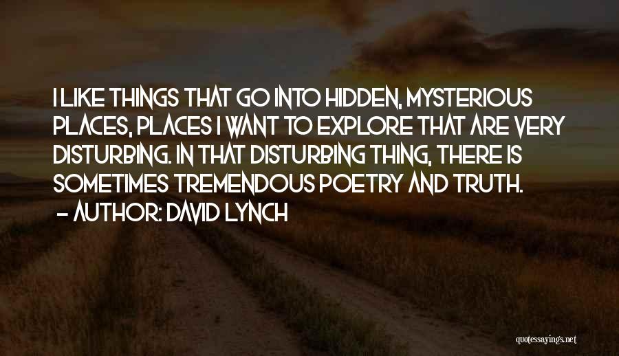 David Lynch Quotes: I Like Things That Go Into Hidden, Mysterious Places, Places I Want To Explore That Are Very Disturbing. In That