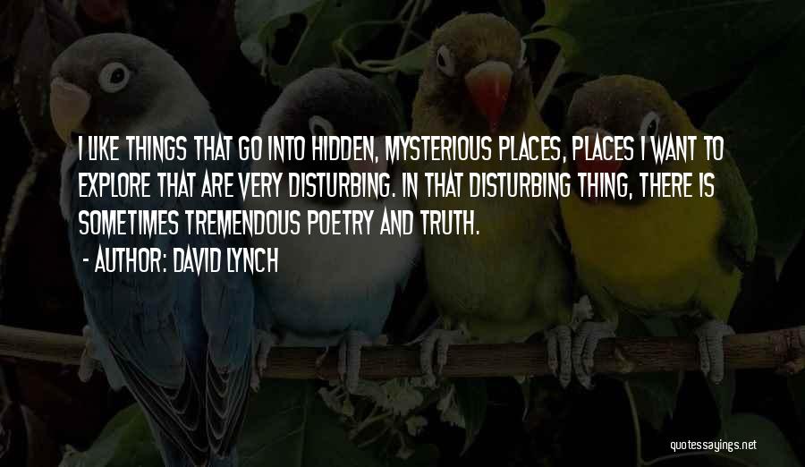 David Lynch Quotes: I Like Things That Go Into Hidden, Mysterious Places, Places I Want To Explore That Are Very Disturbing. In That