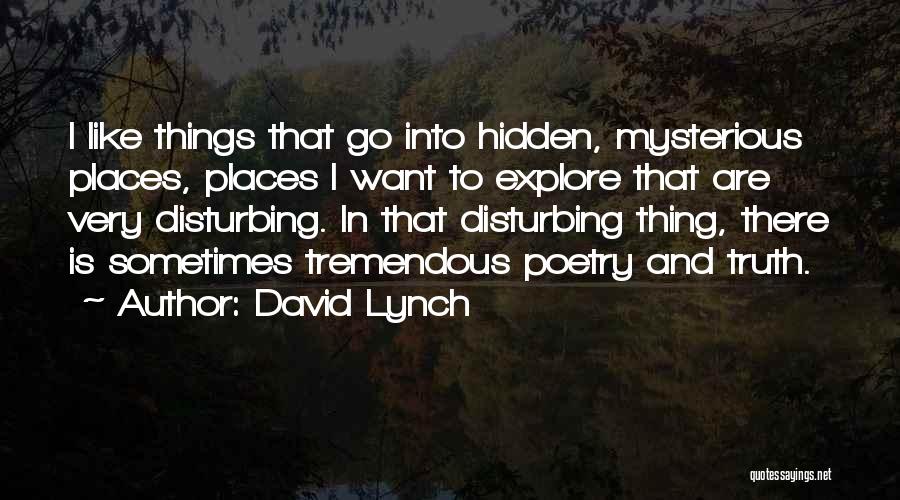 David Lynch Quotes: I Like Things That Go Into Hidden, Mysterious Places, Places I Want To Explore That Are Very Disturbing. In That