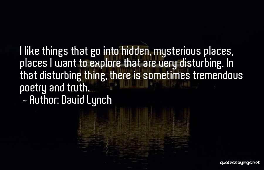 David Lynch Quotes: I Like Things That Go Into Hidden, Mysterious Places, Places I Want To Explore That Are Very Disturbing. In That