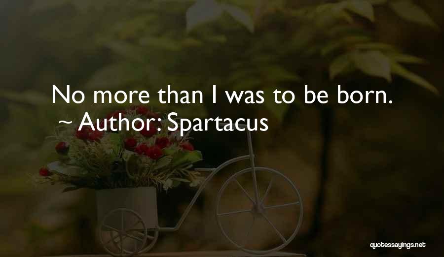 Spartacus Quotes: No More Than I Was To Be Born.